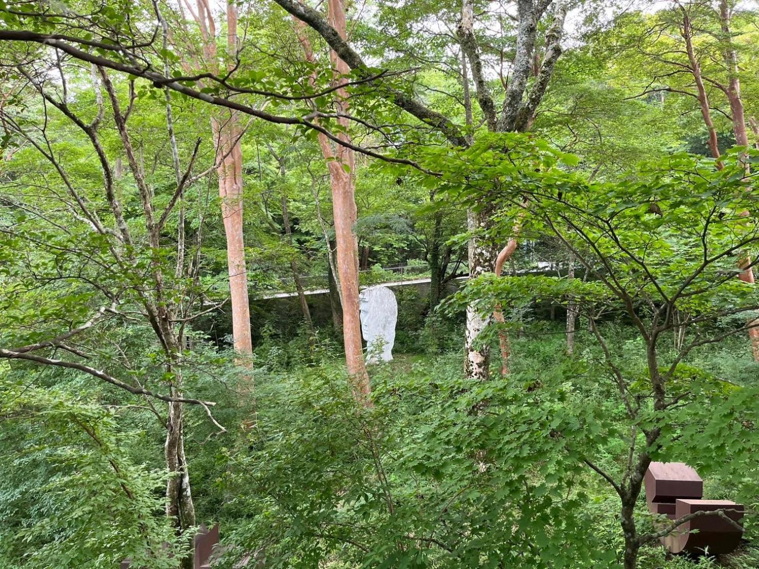 Fuji-Hakone Guest House Exterior photo