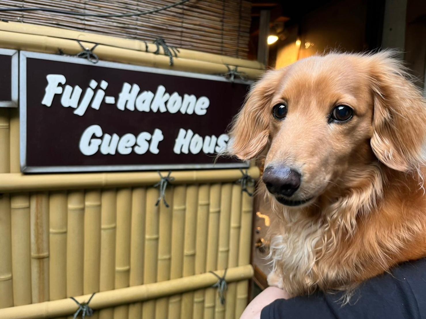 Fuji-Hakone Guest House Exterior photo